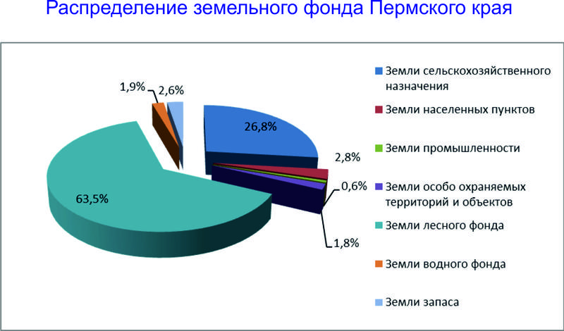 Закон о «лесной» амнистии определил уполномоченных на кадастровый учет лесных участков